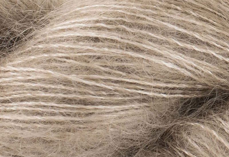 Ecocracy - Fibre